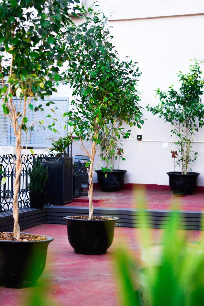 Hotel Vina De Italia 3*